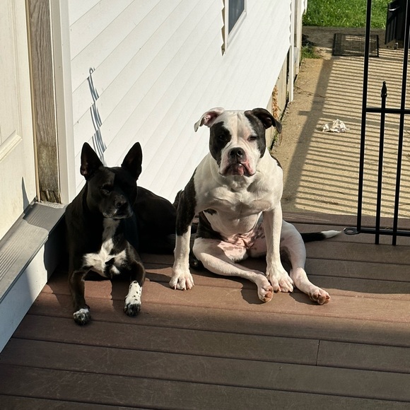 Meet your Posher, Gina - Picture 7 of 11